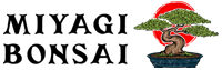 Miyagi Bonsai