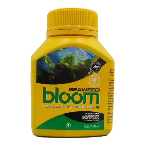 Bloom Seaweed 300ml