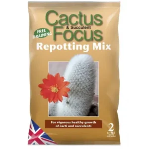 Cactus Focus Repotting Mix 2L