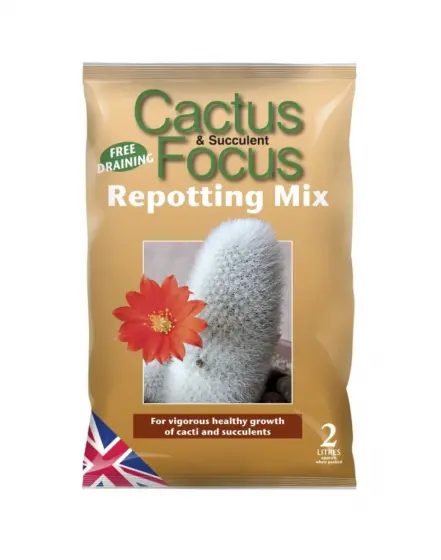 Cactus Focus Repotting Mix 2L