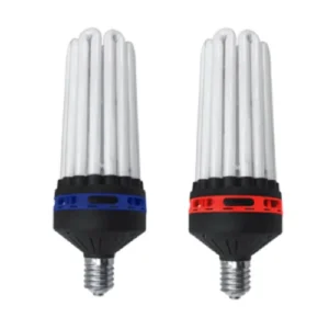 CFL Bulbs (Compact Flourescent Lamp)