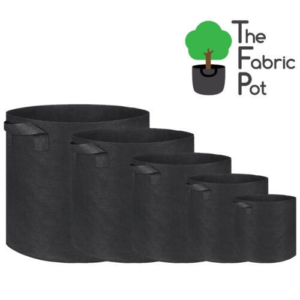 Black Fabric Pots