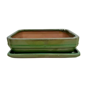 Light Green Glazed Rectangle Ceramic Bonsai Pot & Tray