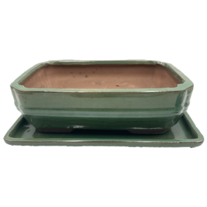 Light Green Glazed Rectangle Ceramic Bonsai Pot & Tray 18cm