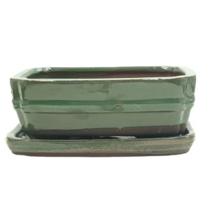 Light Green Glazed Rectangle Ceramic Bonsai Pot & Tray 21cm