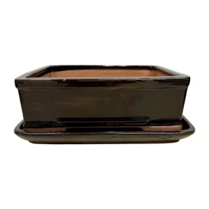 Black Glazed Rectangle Ceramic Pot & Tray