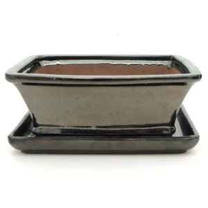 Metallic Dark Black Glazed Rectangle Ceramic Bonsai Pot & Tray - 18cm