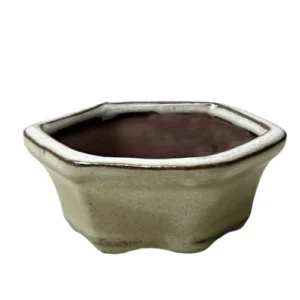 Cream Hexagon Ceramic Bonsai Pot - 3cm