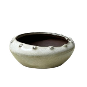 Cream Oval Ceramic Bonsai Pot - 3cm