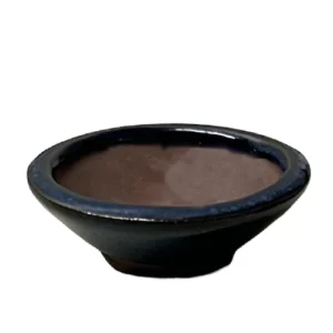 Dark Blue Ceramic Bonsai Pot - 2cm