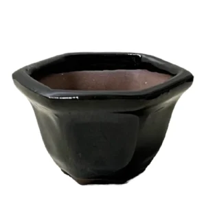 Green Heagon Ceramic Bonsai Pot - 4cm