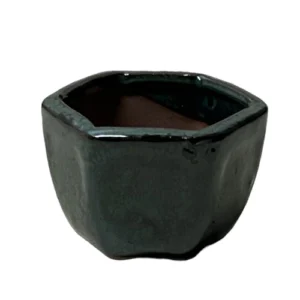 Green Hexagon Ceramic Bonsai Pot - 4cm