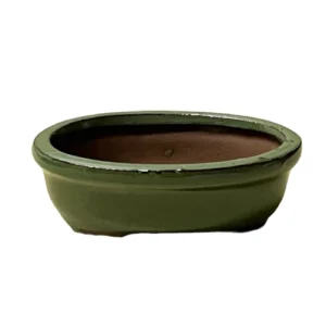 Light Green Oval Ceramic Bonsai Pot - 3cm