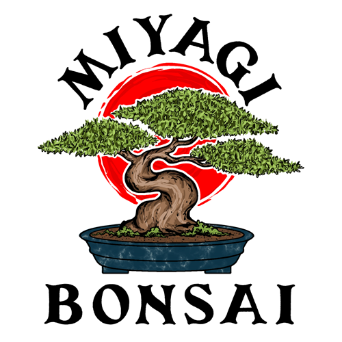 Miyagi Bonsai