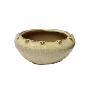 Cream Oval Ceramic Pot 6cm