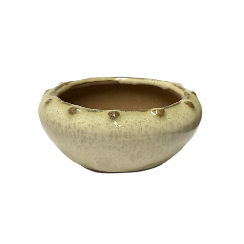 Cream Oval Ceramic Pot 6cm