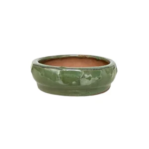 Green Round Shallow Ceramic Pot 6cm
