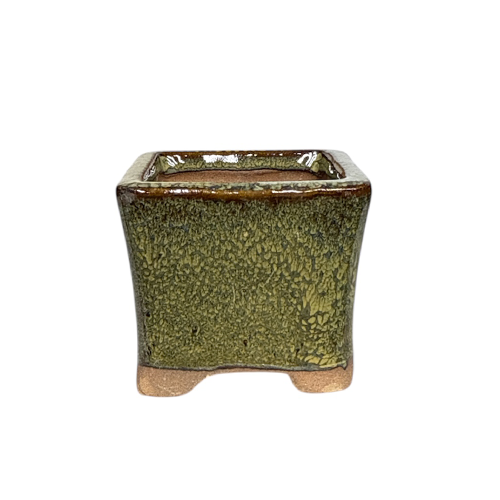 Square Light Green Ceramic Pot 6cm