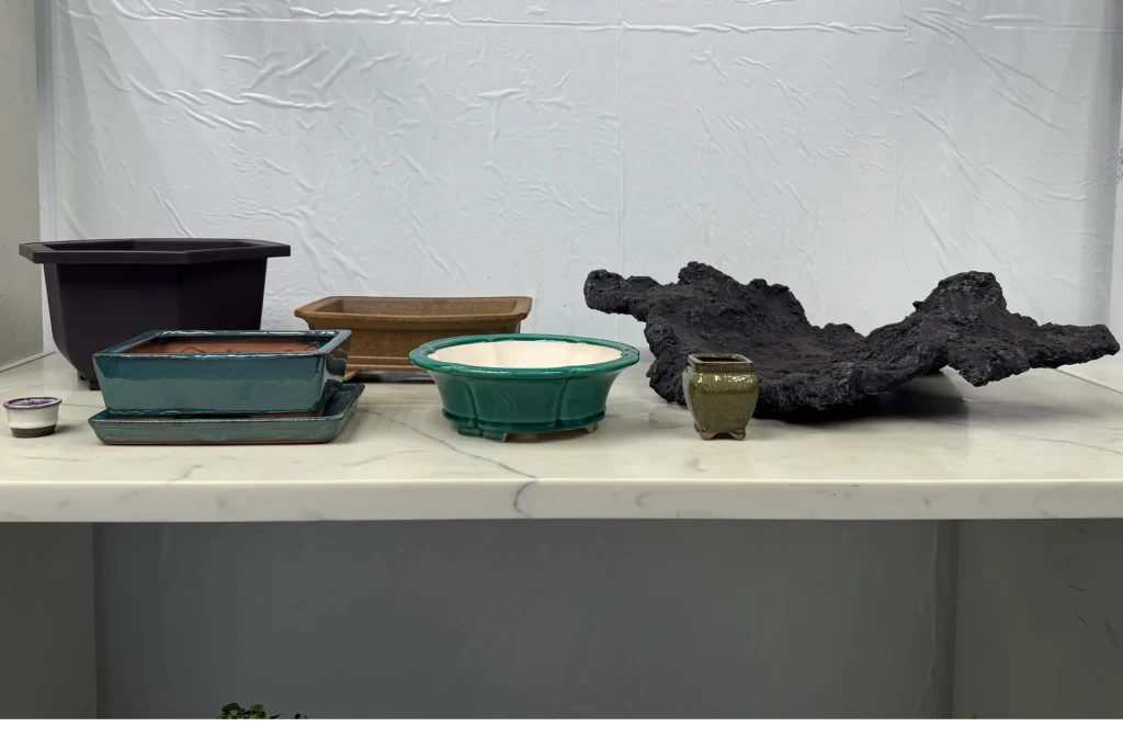 A range of bonsai pots of various sizes, forms and colours on indoor marble