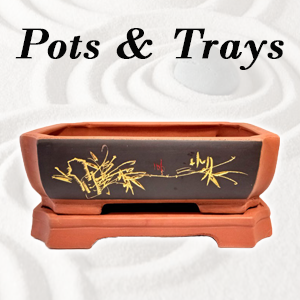 Bonsai Pots And Trays
