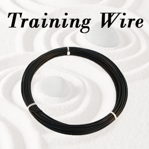 Bonsai Training Wire