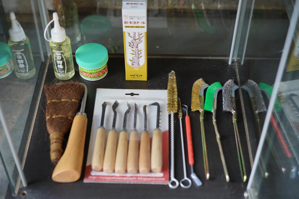 Close-up of bonsai tool selection: brushes, cutters, oils, cleaning tools and rakes