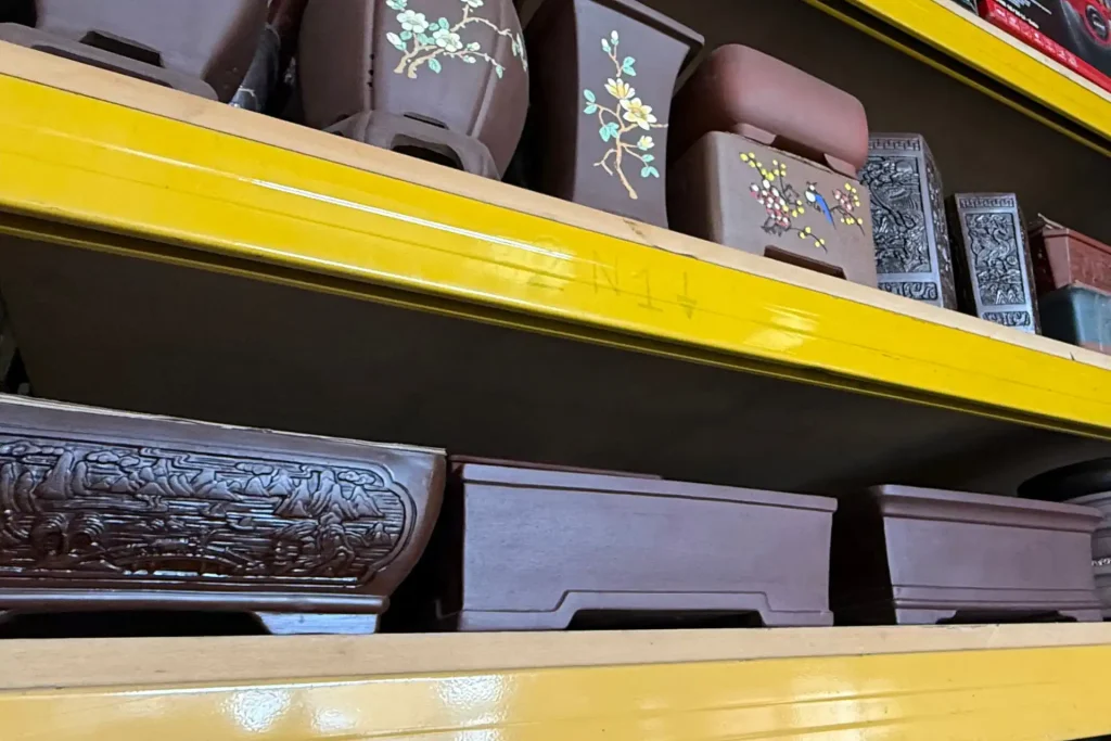 Choosing A Bonsai Pot