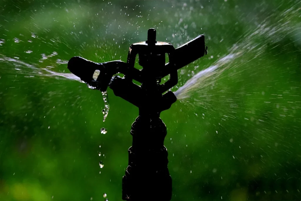 Close-up of sprinkler in action, framed in shadow