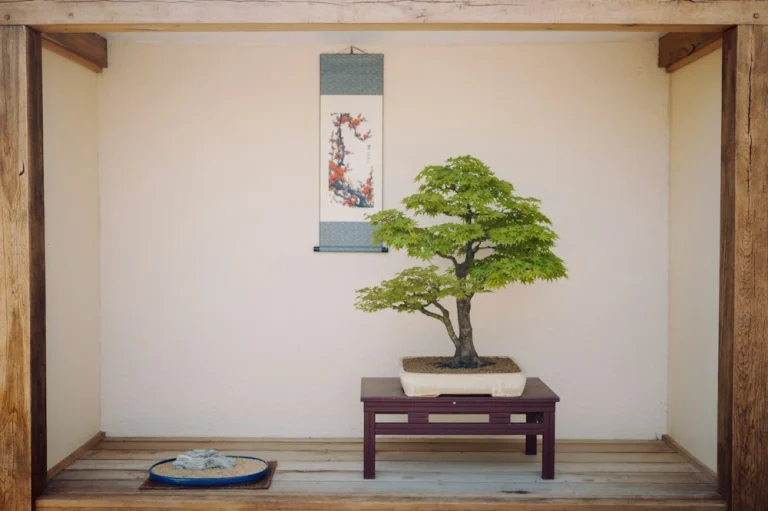 Bonsai tree with star-shaped leaves on a small table, wall scroll behind and a shallow dish on the floor