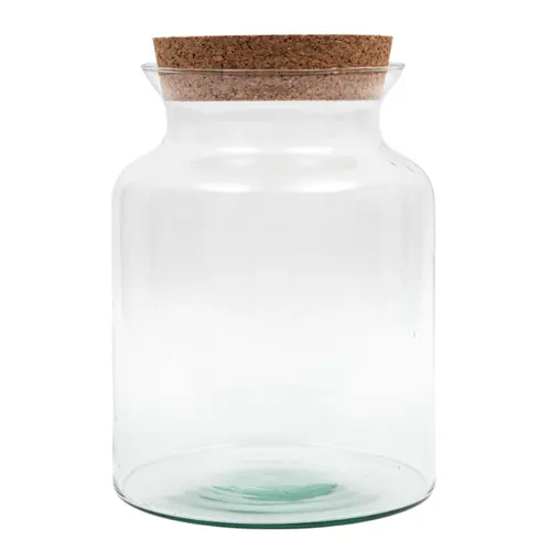 Terrarium - Bose