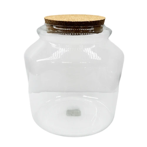 Terrarium Glass Container 21cm