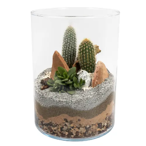 Terrarium Lucille - Medium