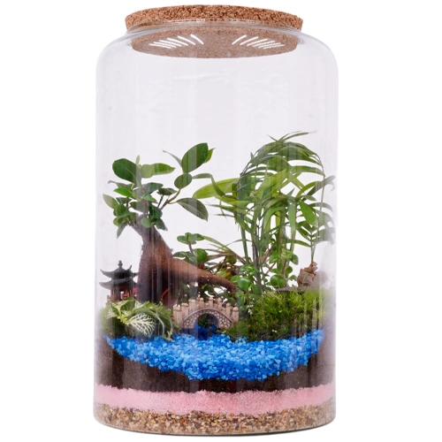 Lovely Terrarium