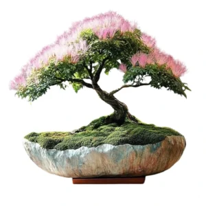 Silk Tree Bonsai Care Guide