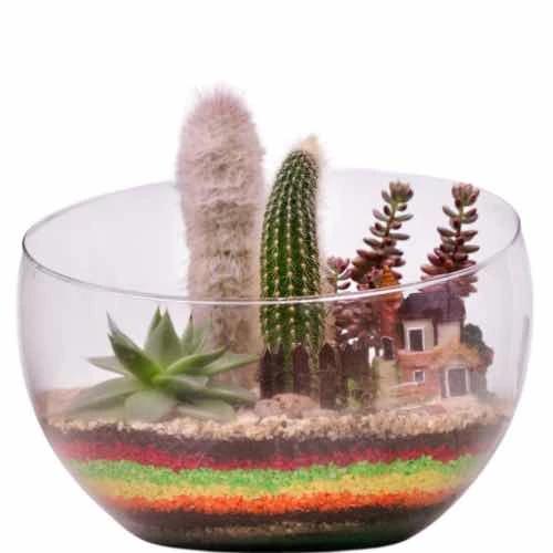Open terrarium with rainbow-coloured layers and a miniature garden feature