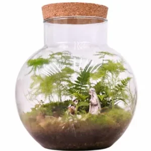 How long does a terrarium last