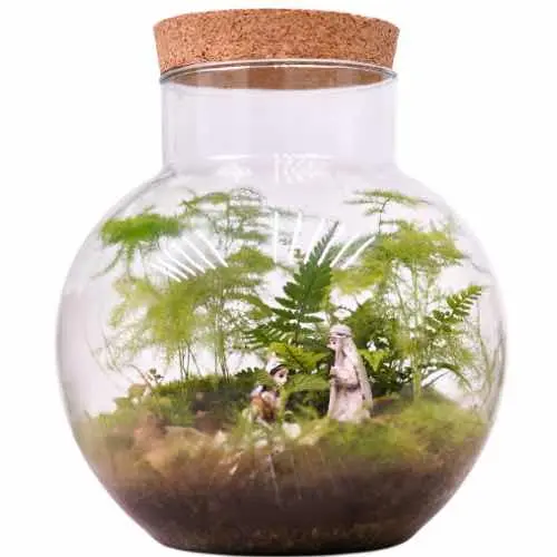 How long does a terrarium last