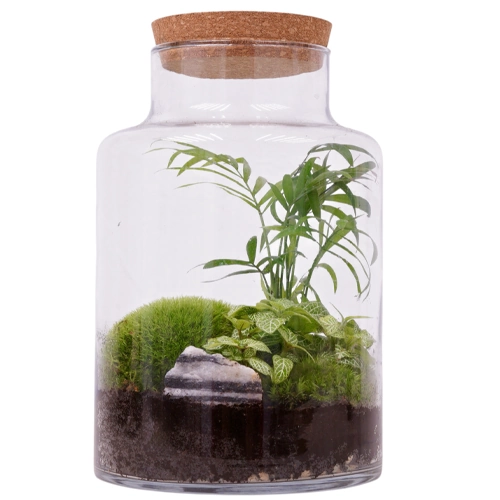 Simple Terrarium