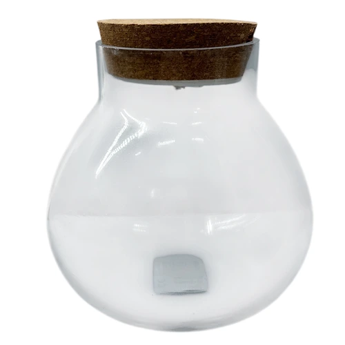 LED Closed Glass Terrarium 17cm