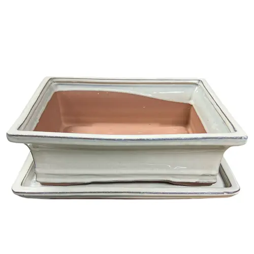 Rectangle Cream Bonsai Pot & Tray 31cm