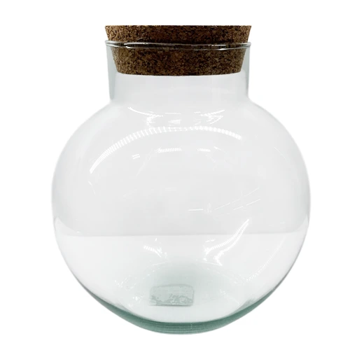 Small Closed Round Terrarium 23cm