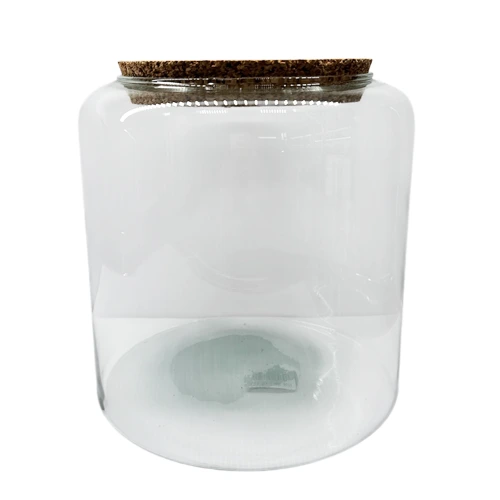 Terrarium Container With Cork Lid 22cm