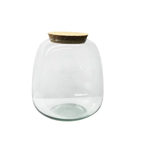 Closed terrarium Jar With Cork Lid 20cm