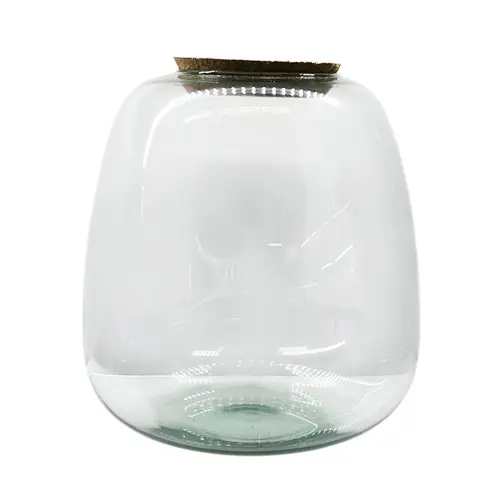 Closed terrarium Jar With Cork Lid 27cm