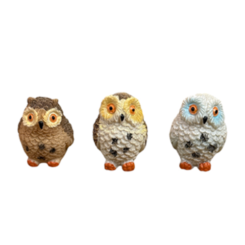 1 Random Owl