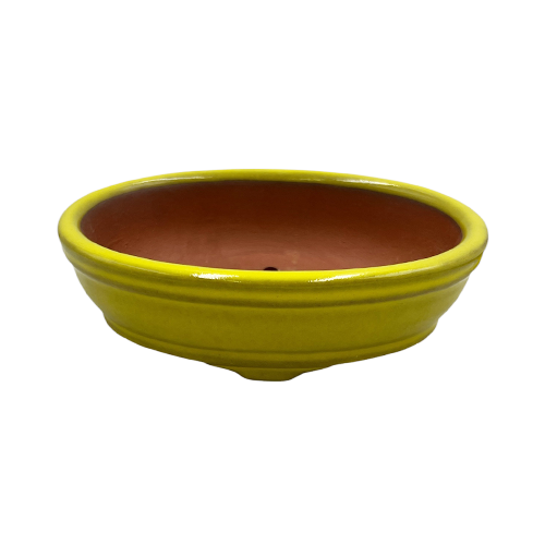 Golden Yellow Ridged Oval Bonsai Pot 16cm