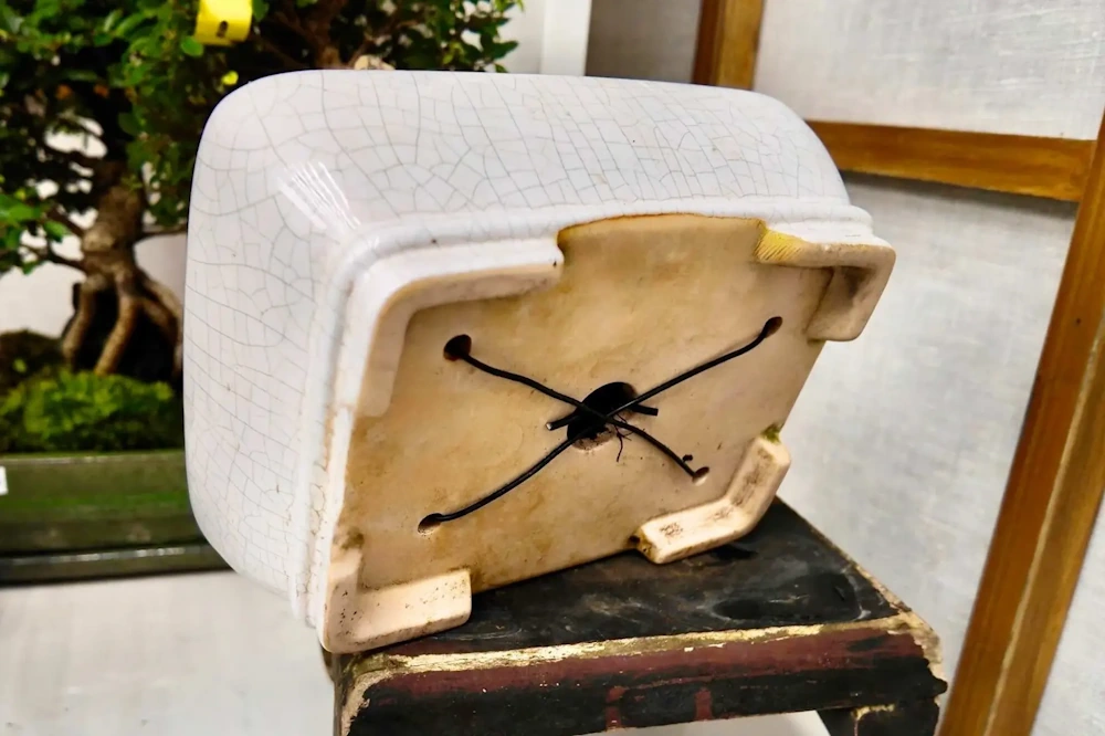 Do Bonsai Pots Need Drainage Holes? (Yes, Here's Why It Matters) - Miyagi  Bonsai