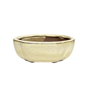 Flower Cream Ceramic Pot 7cm