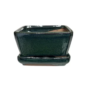 Dark Green Square Ceramic Pot & Tray 10cm