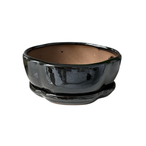 Flower Shape Metallic Black Ceramic Pot & Tray 12cm